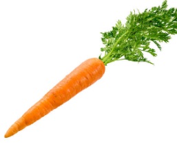 que beneficios aporta la zanahoria